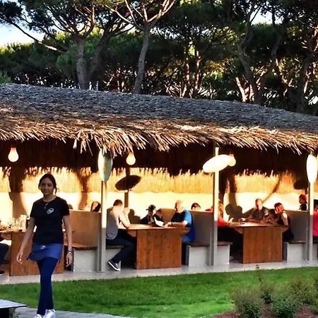 Kamp alanı Waikiki